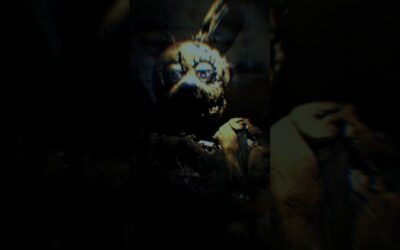 sneak peak at the FNAF 3 Rap Remastered music video   #fnaf #fnaf3 #springtrap