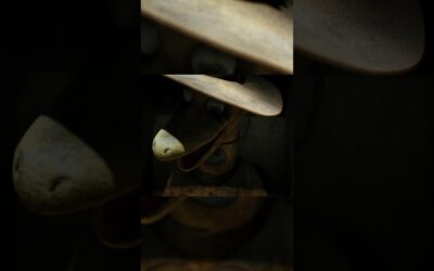 Here’s a tease of the first 30 seconds of this week’s Terrible Lizards song #TerribleLizards